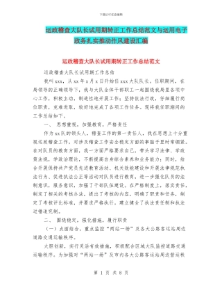 运政稽查大队长试用期转正工作总结范文与运用电子政务扎实推进作风建设汇编
