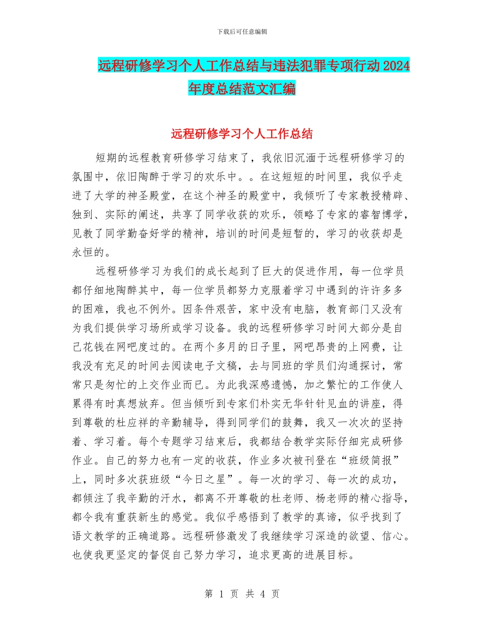 远程研修学习个人工作总结与违法犯罪专项行动2024年度总结范文汇编_第1页