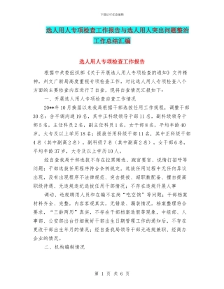 选人用人专项检查工作报告与选人用人突出问题整治工作总结汇编