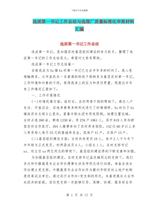 选派第一书记工作总结与选煤厂质量标准化申报材料汇编