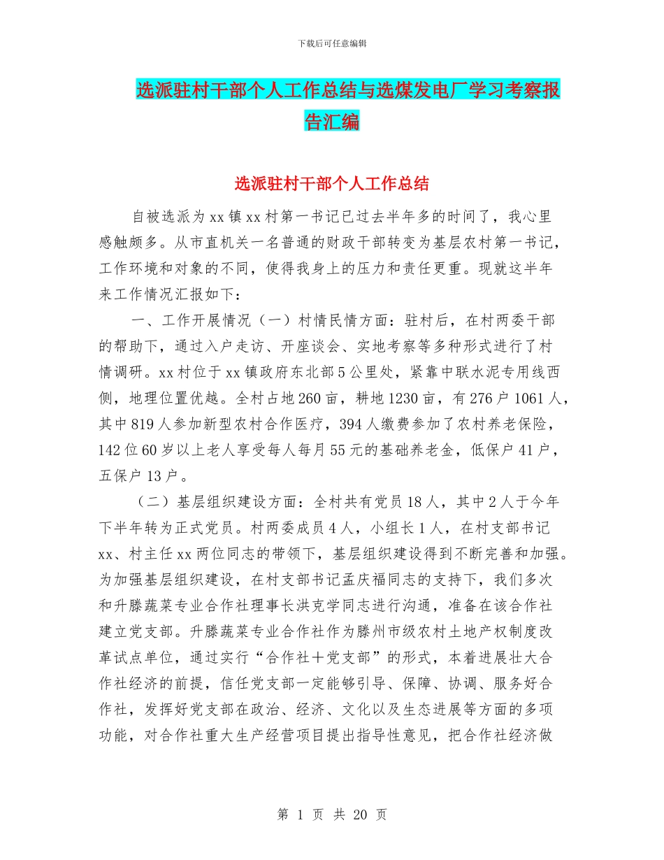 选派驻村干部个人工作总结与选煤发电厂学习考察报告汇编_第1页