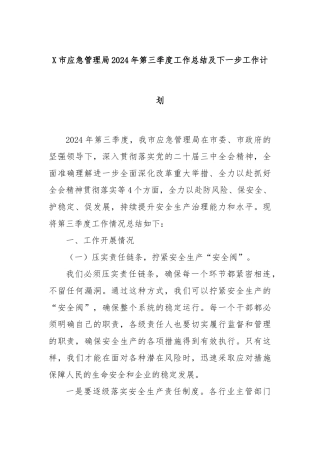 X市应急管理局2024年第三季度工作总结及下一步工作计划