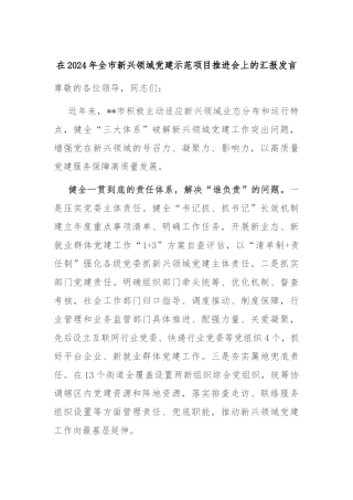 在2024年全市新兴领域党建示范项目推进会上的汇报发言