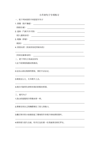 小学语文小升初句子专项练习