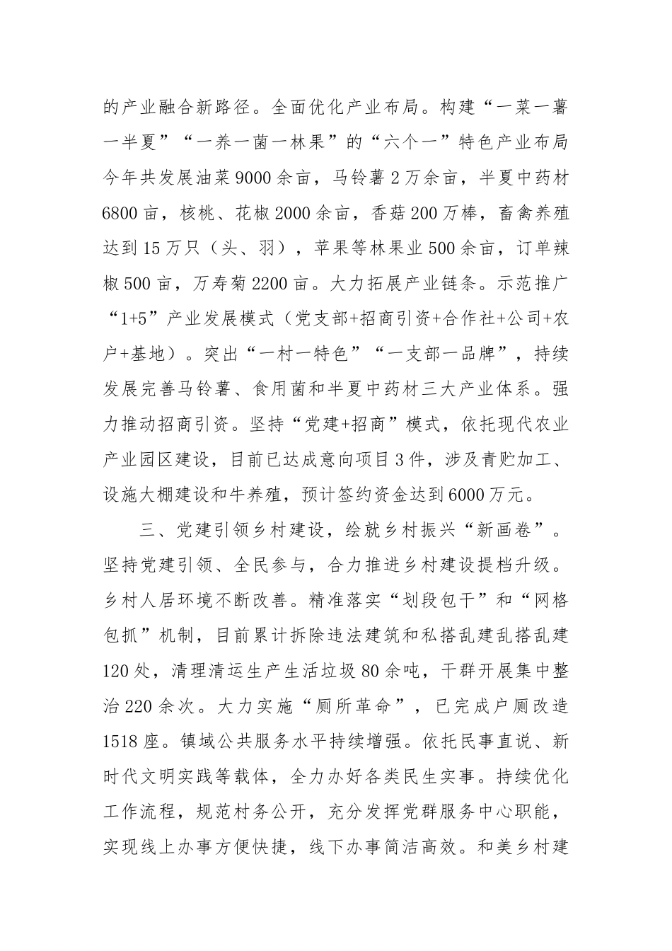 某镇党建引领乡村全面振兴经验交流材料_第2页