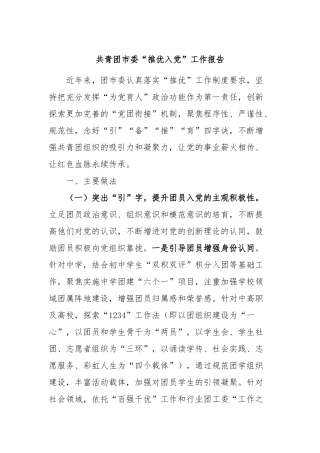 共青团市委“推优入党”工作报告