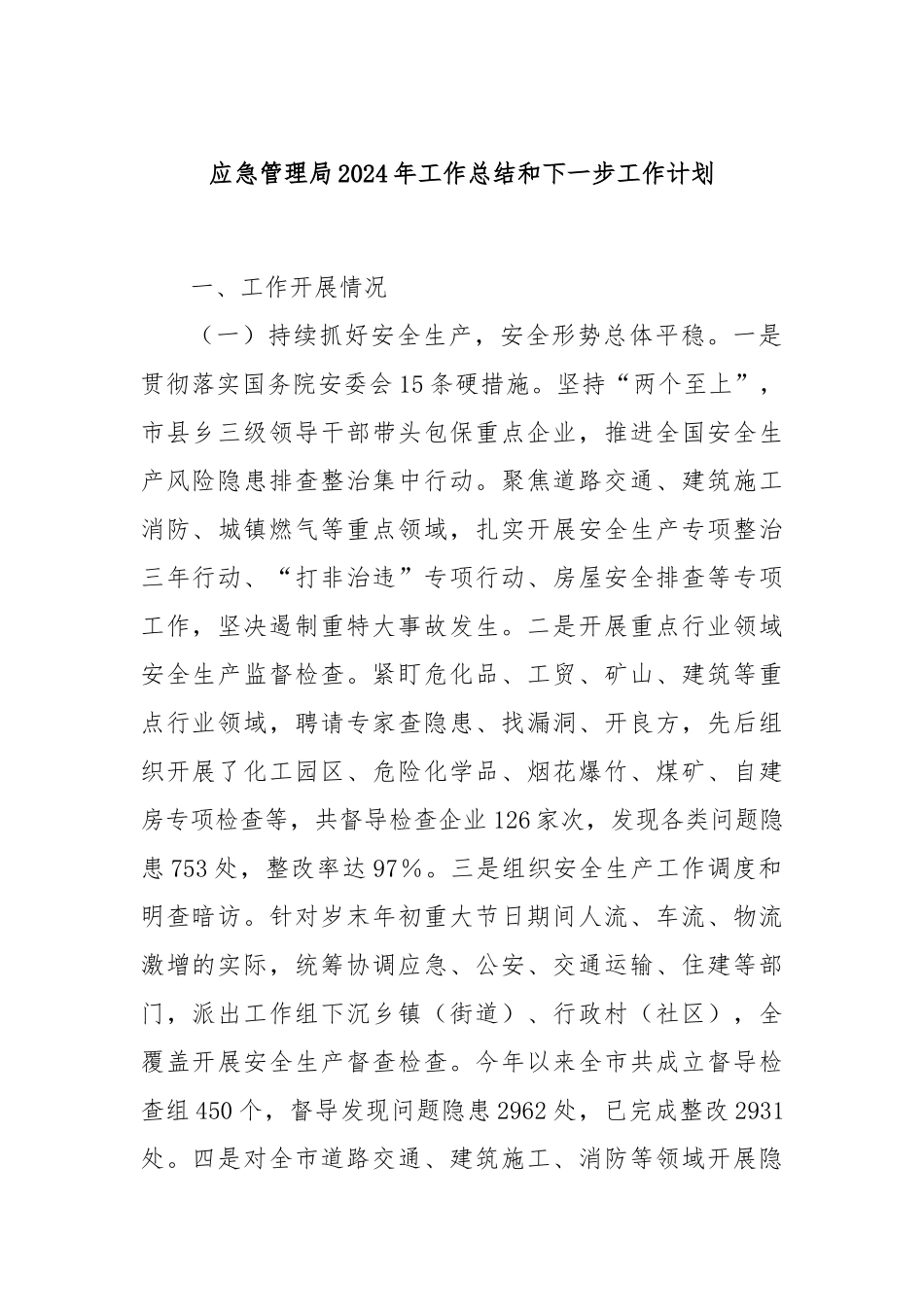 应急管理局2024年工作总结和下一步工作计划_第1页