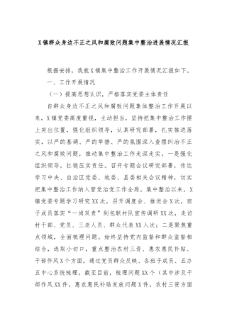 X镇群众身边不正之风和腐败问题集中整治进展情况汇报