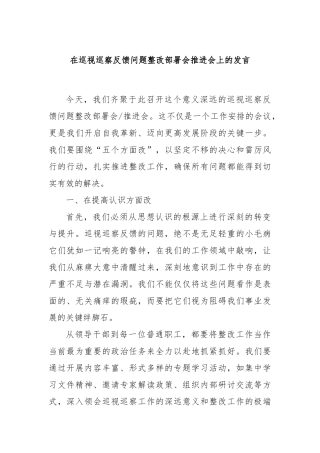 在巡视巡察反馈问题整改部署会推进会上的发言