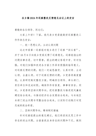 在乡镇2024年巡察整改反馈意见会议上的发言