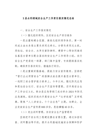 X县水利领域安全生产工作责任落实情况总结