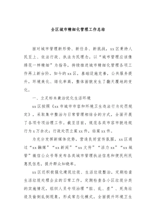 全区城市精细化管理工作总结