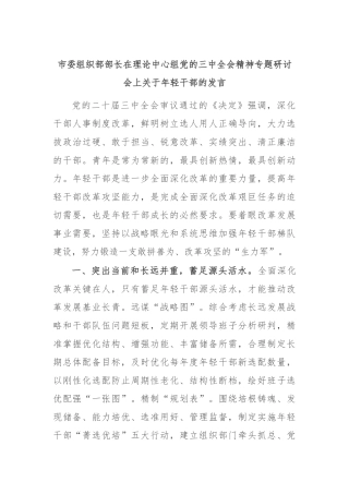 市委组织部部长在理论中心组党的三中全会精神专题研讨会上关于年轻干部的发言