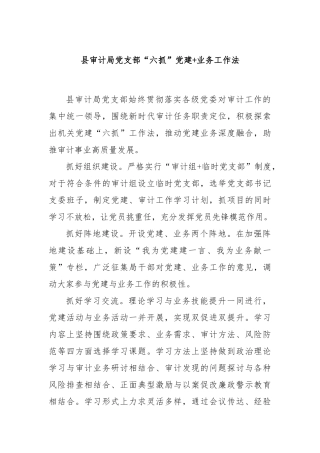 县审计局党支部“六抓”党建+业务工作法