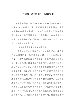 关于对审计局党组书记xx的情况反映