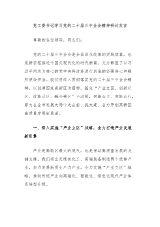 党工委书记学习党的二十届三中全会精神研讨发言