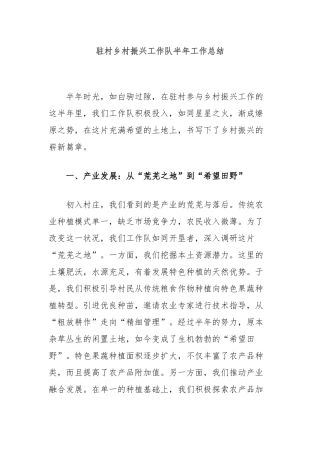 驻村乡村振兴工作队半年工作总结