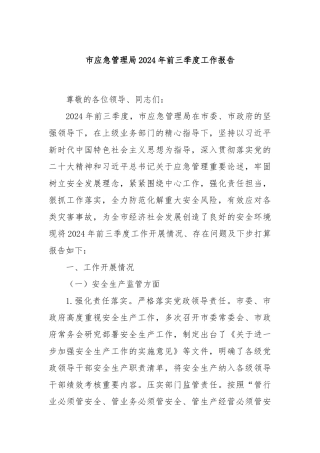 市应急管理局2024年前三季度工作报告