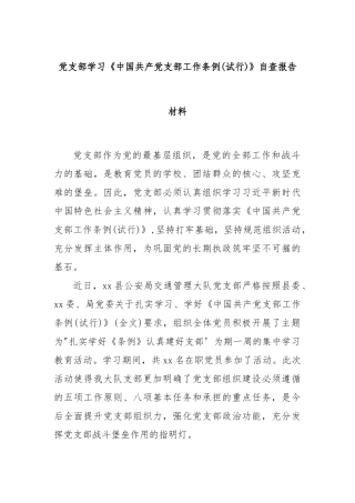 党支部学习《中国共产党支部工作条例(试行)》自查报告材料