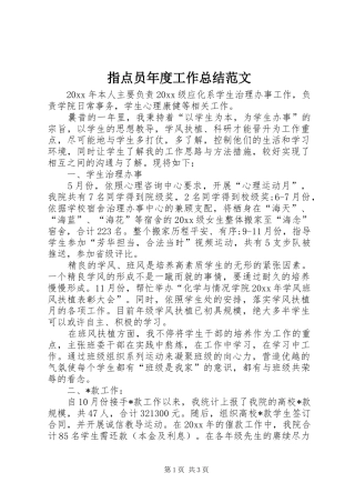 指点员年度工作总结范文