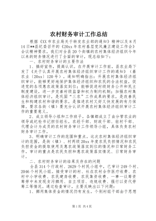农村财务审计工作总结_1