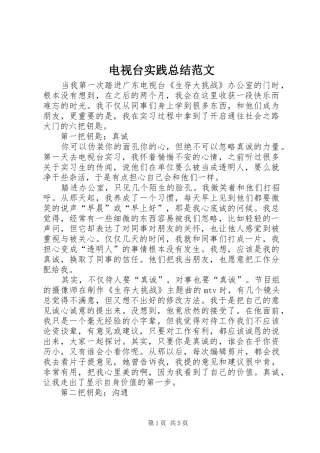 电视台实践总结范文