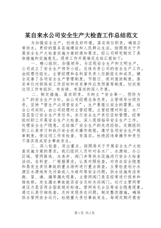 某自来水公司安全生产大检查工作总结范文