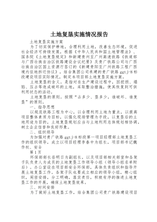 土地复垦实施情况报告_1