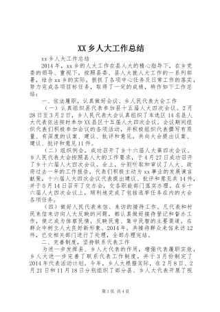 XX乡人大工作总结