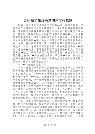 审计局工作总结及明年工作思路