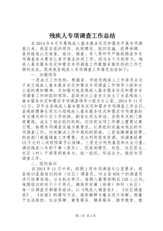 残疾人专项调查工作总结