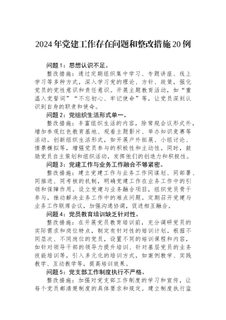2024年党建工作存在问题和整改措施20例