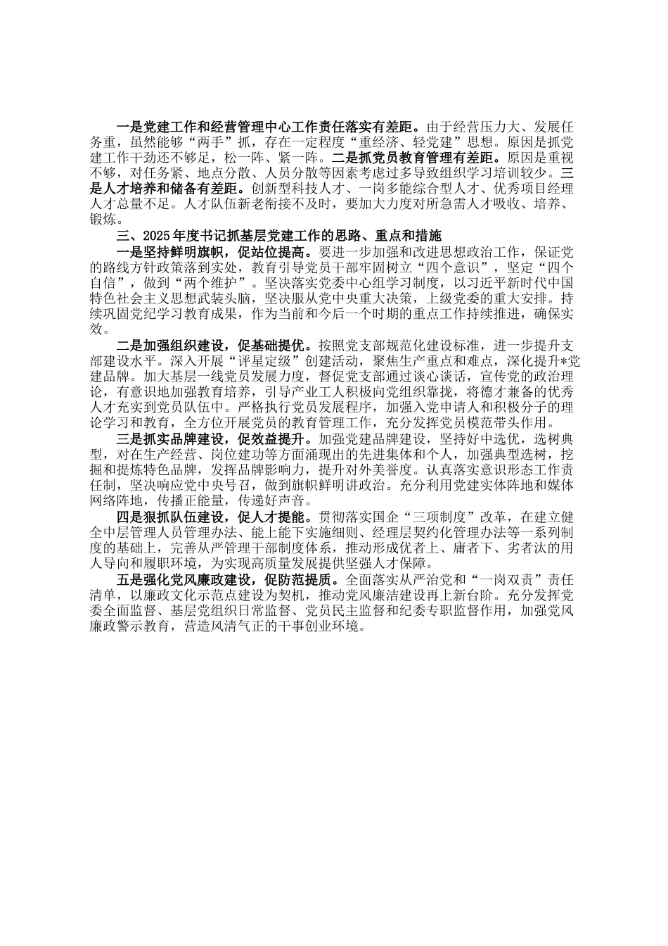 2024年度书记抓基层党建述职报告_第2页