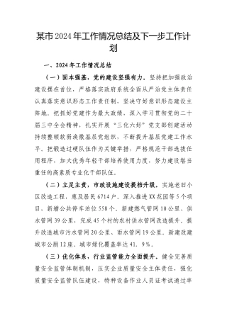 2024年工作情况总结及下一步工作计划（市级）
