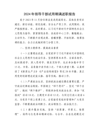 2024年领导干部试用期满述职报告