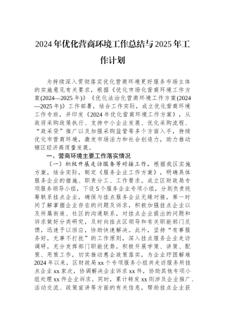 2024年优化营商环境工作总结与2025年工作计划
