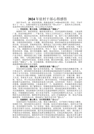 2024年驻村干部心得感悟