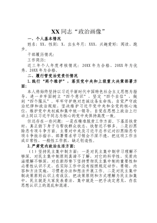 XX同志“政治画像”