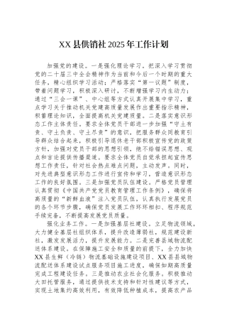 XX县供销社2025年工作计划
