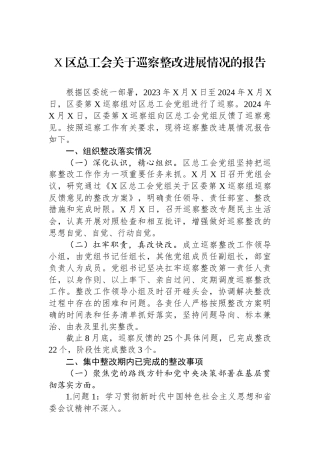 X区总工会关于巡察整改进展情况的报告