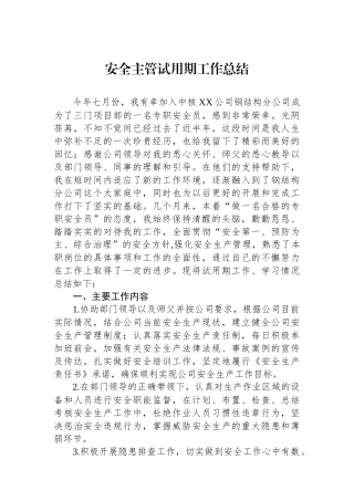 安全主管试用期工作总结
