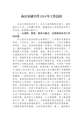 办公室副主任2024年工作总结