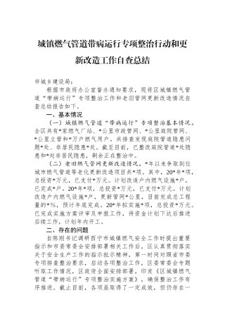 城镇燃气管道带病运行专项整治行动和更新改造工作自查总结