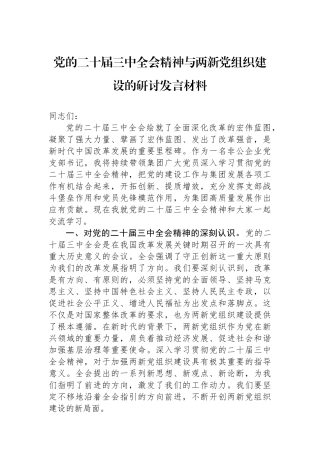 党的二十届三中全会精神与两新党组织建设的研讨发言材料