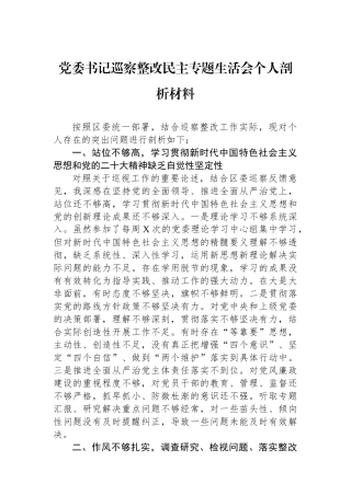 党委书记巡察整改民主专题生活会个人剖析材料