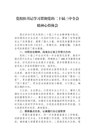 党组织书记学习贯彻党的二十届三中全会精神心得体会