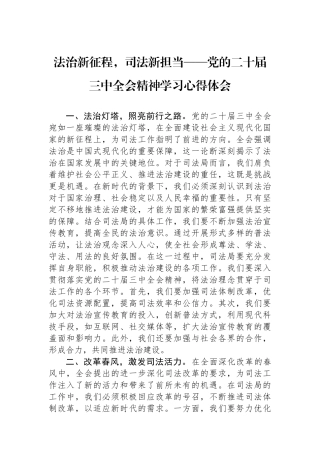法治新征程，司法新担当——党的二十届三中全会精神学习心得体会