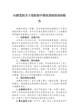 妇联党组关于巡察集中整改进展情况的报告