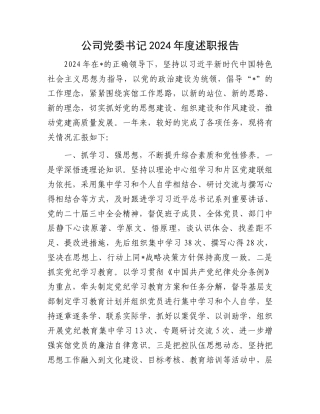 公司党委书记2024年度述职报告