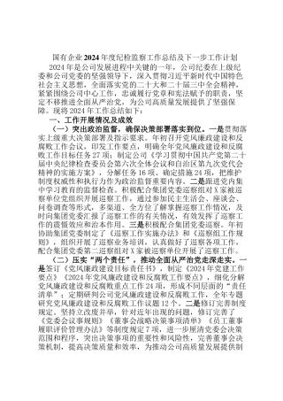 国有企业2024年度纪检监察工作总结及下一步工作计划